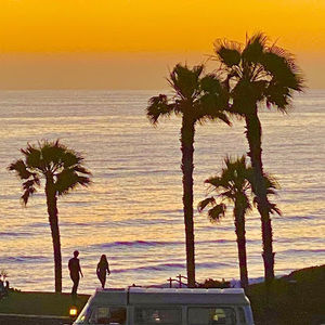 Meet your Posher, Cody